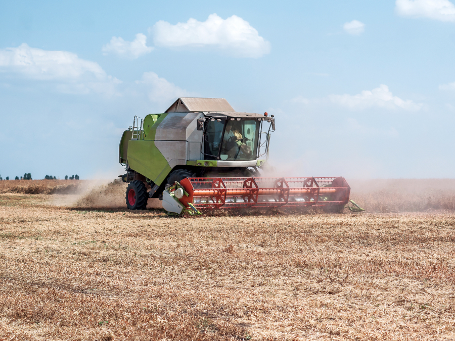 Risikomanagement Beratung 4 Risikomanagement Beratung Landwirtschaft
