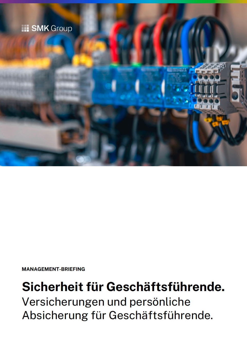 Versicherungen & Absicherung Geschäftsführende | Elektro 2 Management-Briefing: Versicherungen und persönliche Absicherung Geschäftsführende Elektro - Titel