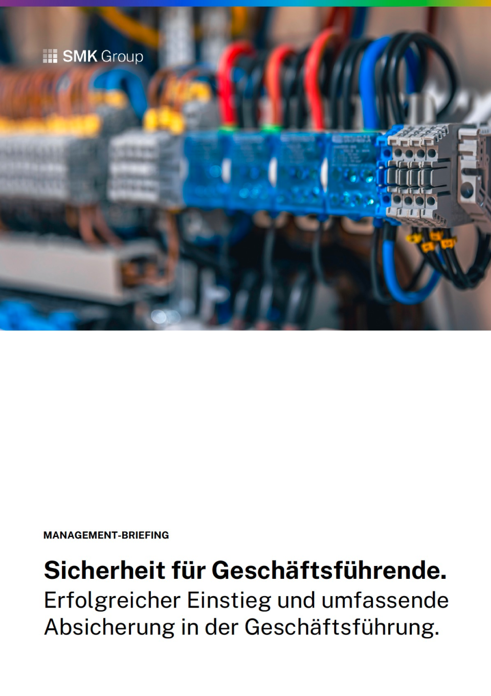 Management-Briefing: Sicherheit für Geschäftsführende (Elektro) - Titel