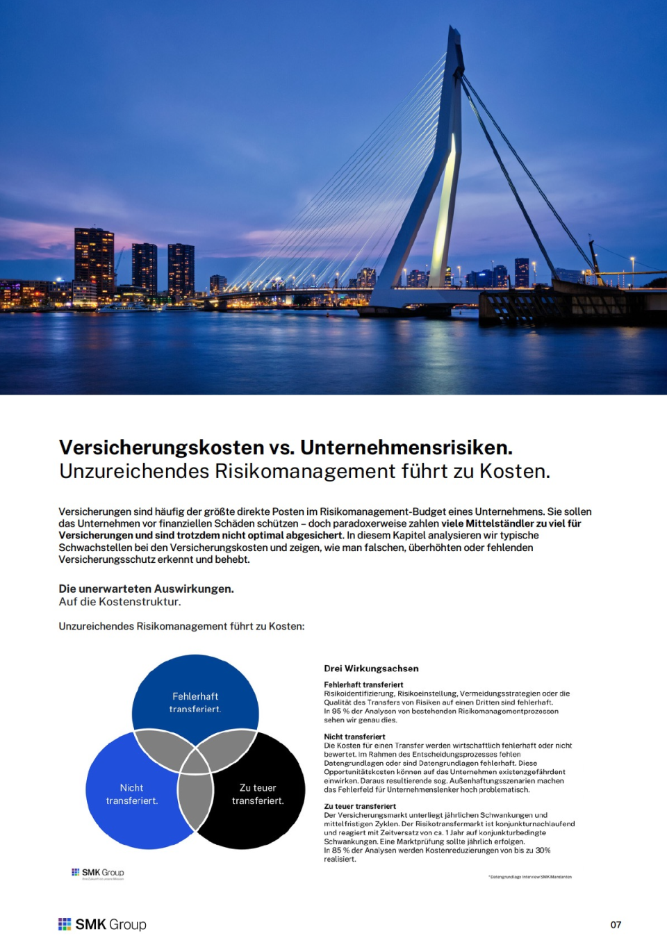 Whitepaper: 30 % Kostensenkung durch optimiertes Risikomanagement - Inhalt