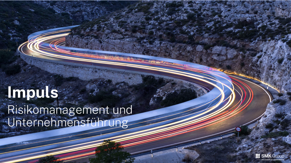 whitepaper risikomanagement unternehmensfuehrung 1