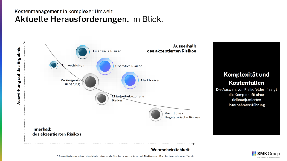whitepaper risikomanagement unternehmensfuehrung 2